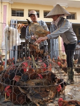 Thực phẩm ''bẩn'' lọt lưới các cơ quan chức năng ngay tại chợ.