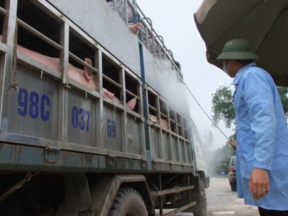 Cán bộ kiểm dịch của Trạm Kiểm dịch Hữu Lũng - Lạng Sơn phun dịch khử trùng cho các xe l