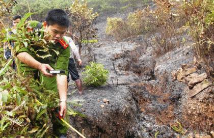 Hiện trường vụ cháy rừng.