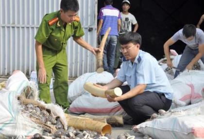 Khởi tố hình sự 2 vụ buôn lậu gần 5 tấn ngà voi - 1 L