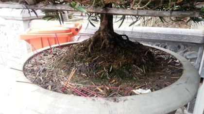Bát nháo hàng loạt chiêu trò moi tiền du khách tại lễ hội đền Kiếp Bạc - 10 Hàng vạn du khách trẩy hội đền Kiếp Bạc và những hình ảnh không đẹp mắt.