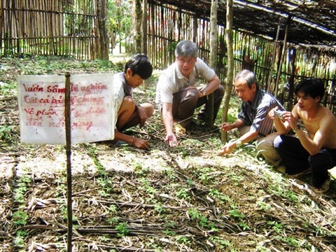 Vì sao UBND tỉnh và Sở KH-ĐT Quảng Nam bị kiện ra tòa? - 1 Trại sâm Ngọc Linh ở huyện Nam Trà My (Quảng Nam).