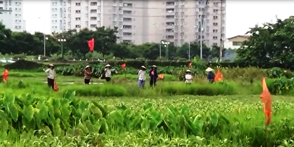 Luật sư Trần Quang Khải&nbsp;