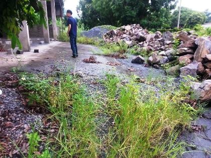 Hoang lạnh nhà máy xi măng lớn nhất tỉnh Hà Giang phía sau lời kêu cứu của cả trăm công nhân - 4 Cỏ dại đã mọc lút đầu trong khuôn viên nhà máy.