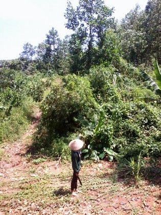 Lạng Sơn: Người dân khốn khổ vì cách làm việc bất nhất của chính quyền - 3 Lạng Sơn: Người dân khốn khổ vì cách làm việc bất nhất của chính quyền