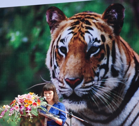 13 quốc gia họp bàn nhằm bảo vệ Hổ - 1 13 quốc gia họp bàn nhằm bảo vệ Hổ - 1