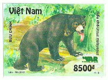 Phát hành bộ tem Gấu hoang dã quý hiếm của Việt Nam - 1 Phát hành bộ tem Gấu hoang dã quý hiếm của Việt Nam