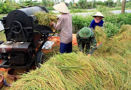 Lao động nông nghiệp: Số lượng lớn chất lượng thấp - 1