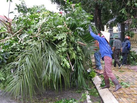 Người dân Thái Bình khắc phục thiệt hại sau bão. (Ảnh: CTV)