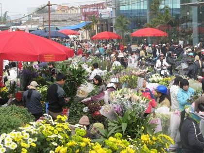 Thời tiết các tỉnh miền Bắc trong và sau dịp tết Tết Giáp Ngọ ấm áp