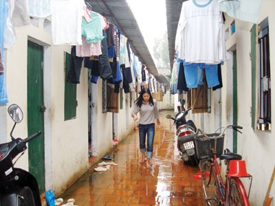 Cuộc sống thường ngày của nhiều gia đình đảo lộn vì trời nồm kéo dài