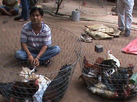 Nguyễn Vũ Đức, đối tượng tổ chức hoạt động cờ bạc bằng hình thức đá gà ở vùng ven thành phố