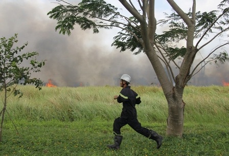Đến gần 16h cùng ngày, đám cháy mới cơ bản được khống chế.
