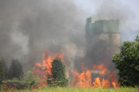 Đám cháy bùng phát dữ dội tại khu đất đầy cỏ cây rậm rạp rộng hơn 10 hecta trong KCN Hiệp Phước