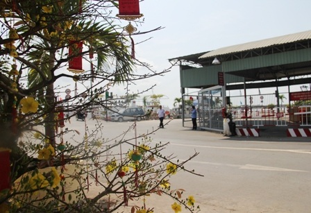 Bến phà khá đìu hiu vào đúng đợt cao điểm phục vụ tết