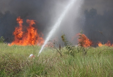 Đến gần 16h cùng ngày, đám cháy mới cơ bản được khống chế.