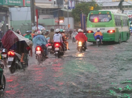 Nhiều người đã dừng lại dưới gầm cầu vượt để trú mưa...