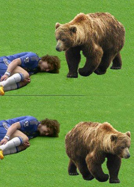 Biếm họa về “kịch sĩ” David Luiz - 7 David Luiz diễn đạt tới mức qua mặt được cả gấu