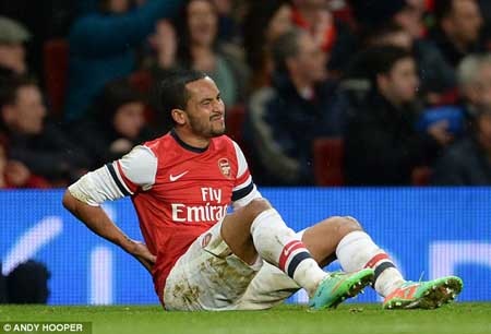 Nghỉ 6 tháng vì chấn thương, Walcott lỡ cơ hội dự World Cup - 1 Walcott sẽ phải nghỉ thi đấu 6 tháng vì chấn thương