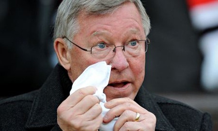 Sir Alex sẽ chọn người kế vị David Moyes - 1 Sir Alex vẫn sẽ can thiệp vào việc lựa chọn HLV của MU