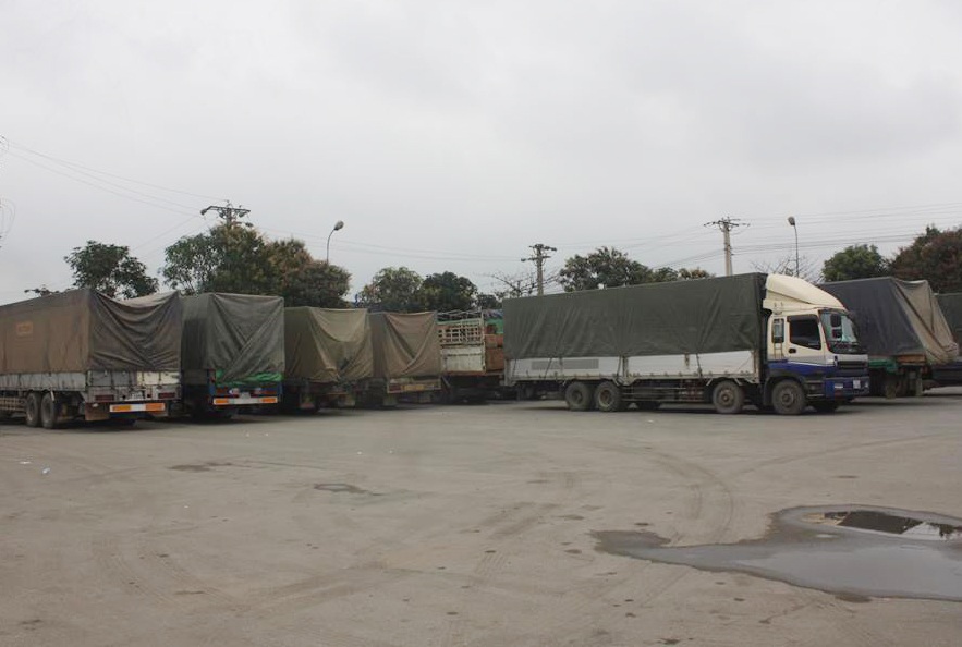 Đoàn xe tải chở gỗ đang được tạm giữ tại Bến xe huyện Đô Lương (Nghệ An).