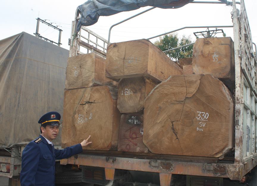Đến thời điểm hiện tại, tài xế vẫn chưa chịu xuất trình được giấy tờ liên quan đến số gỗ này.