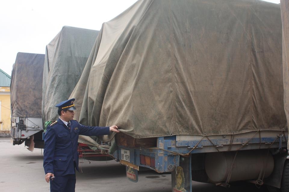 Những chiếc xe được phủ bạt kín mít.