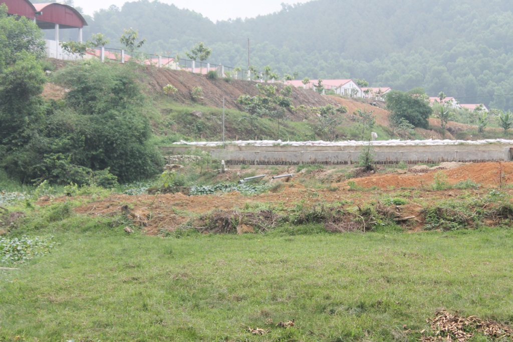 Dân kêu trời vì mùi thối từ trại chăn nuôi hàng nghìn con lợn - 1 Trại chăn nuôi lợn quy mô 2.400 con lợn nái được xây dựng cao hơn khu dân cư.