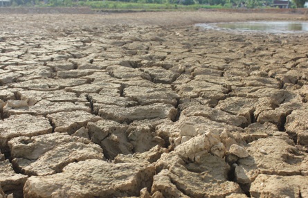 Nhiều hồ đập xuống mức nước chết không thể bơm phục vụ sản xuất nông nghiệp.