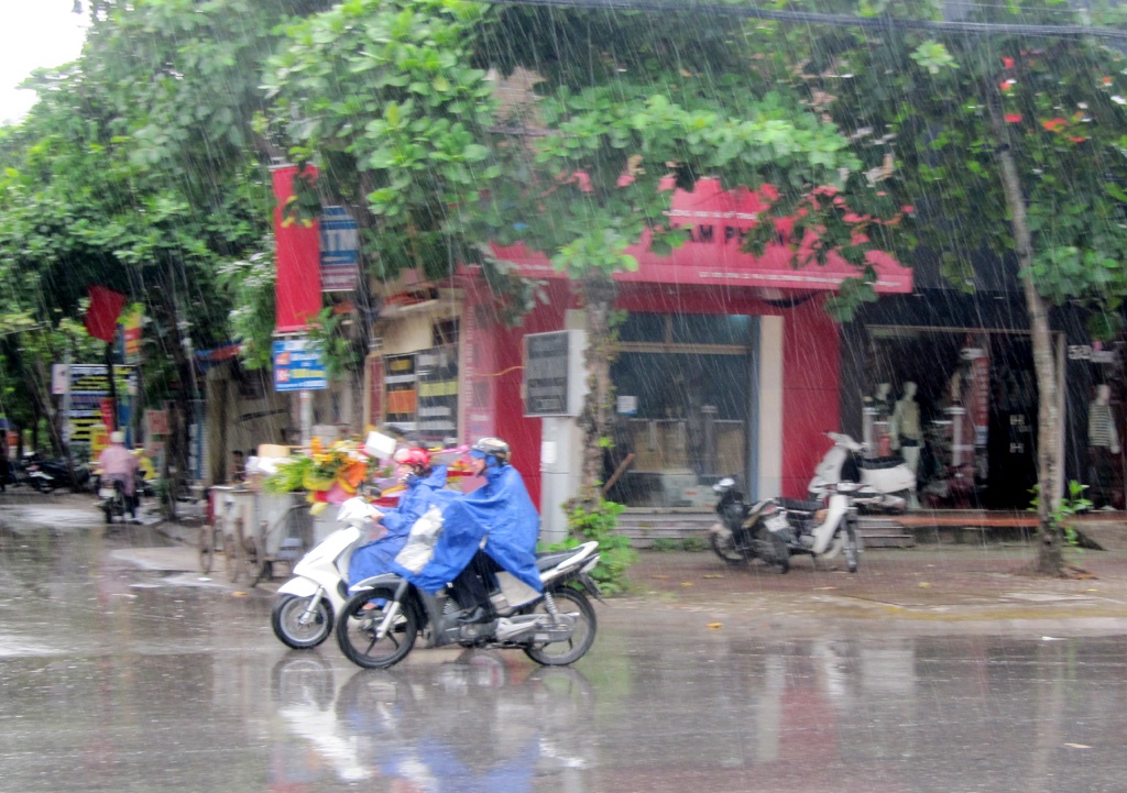 Mưa xuất hiện, nền nông nghiệp vẫn lao đao vì hạn