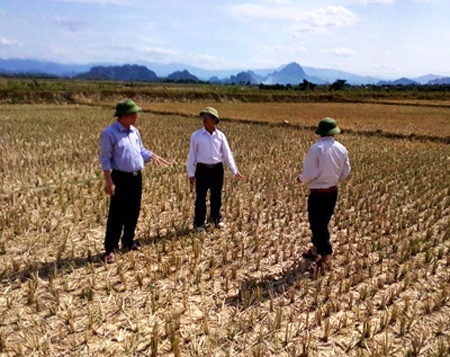 Nhiều diện tích ở Nghệ An chưa thể gieo cấy do thiếu nước (ảnh Huyền Trang).