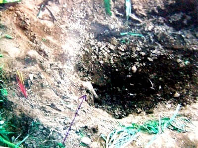 Ly kỳ vụ em trai tố anh giết bố - 2