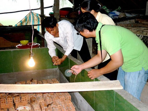 Dân IT bỏ nghề về quê nuôi rắn mối  - 1