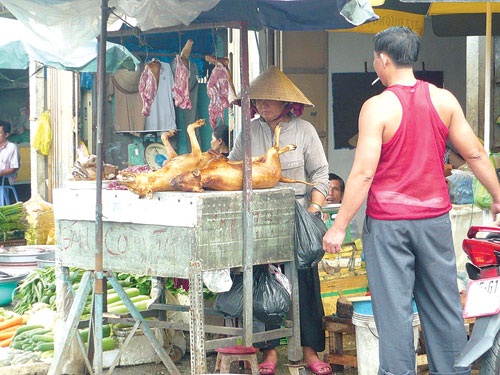 “Cẩu tặc" lộng hành do lò “hóa kiếp” tràn lan - 2 “Cẩu tặc" lộng hành do lò “hóa kiếp” tràn lan - 2