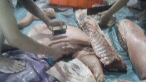 Tự “kiểm dịch” heo lậu - 1