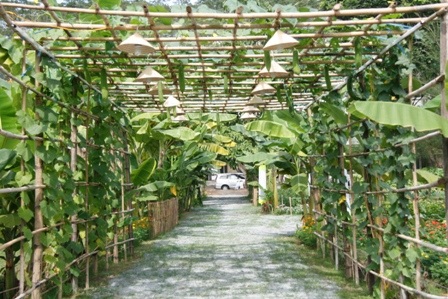 Khai mạc Hội chợ Hoa Xuân Phú Mỹ Hưng 2012 - 9