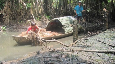 271 hộ dân kiện đòi Sonadezi bồi thường hơn 18 tỉ đồng - 2 271 hộ dân kiện đòi Sonadezi bồi thường hơn 18 tỉ đồng - 2