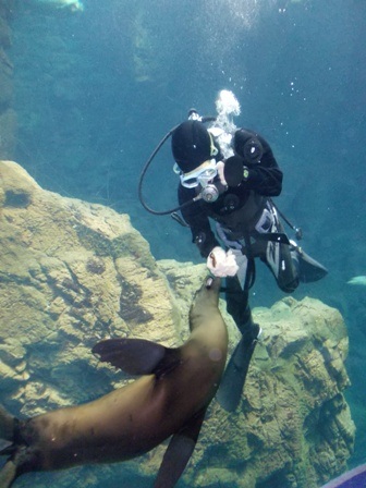 Ngược lại
với không khí se lạnh dễ chịu của Osaka, Sapporo đã thực sự bước vào đông.