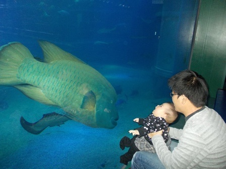 Ngược lại
với không khí se lạnh dễ chịu của Osaka, Sapporo đã thực sự bước vào đông.