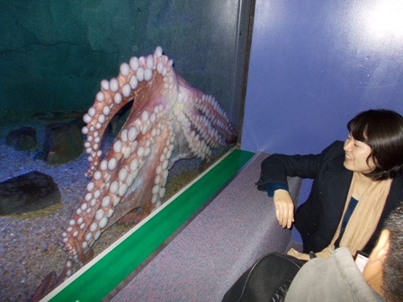 Ngược lại
với không khí se lạnh dễ chịu của Osaka, Sapporo đã thực sự bước vào đông.