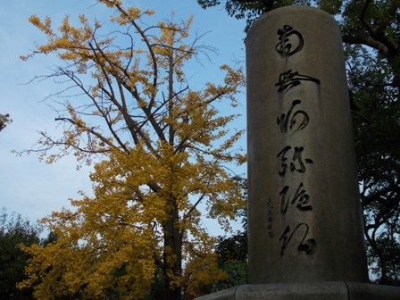 Một thoáng Osaka những ngày cuối thu