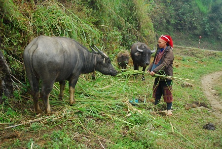  Tin và ảnh: Phạm Ngọc Triển