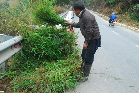  Tin và ảnh: Phạm Ngọc Triển