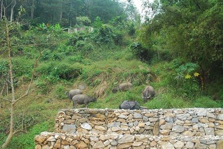  Tin và ảnh: Phạm Ngọc Triển