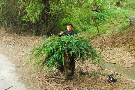  Tin và ảnh: Phạm Ngọc Triển