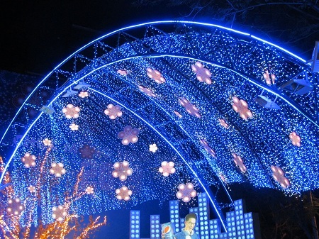 Mai vàng luôn là chủ đề chính của đất phương Nam