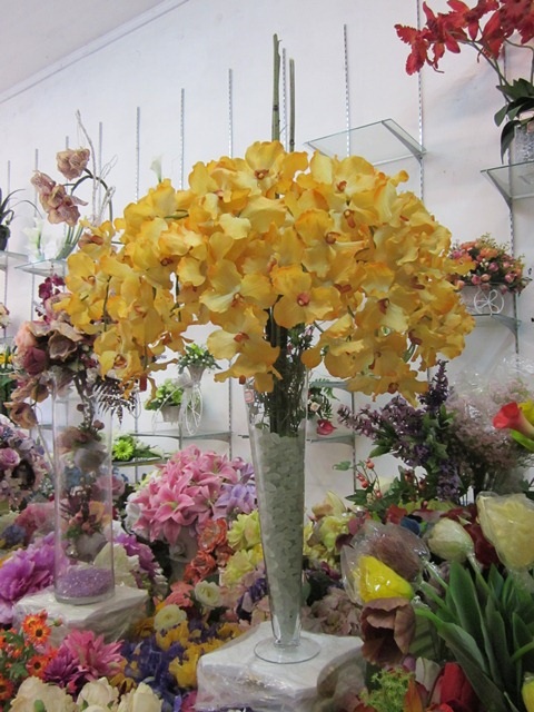 Đa dạng về kích cỡ và kiểu dáng