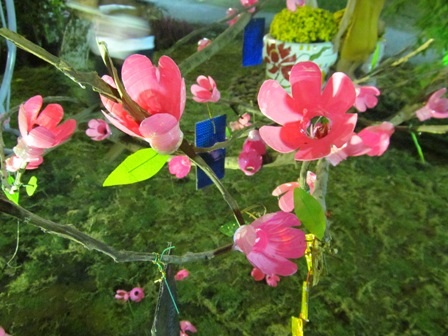 Cận cảnh hoa đào nhựa