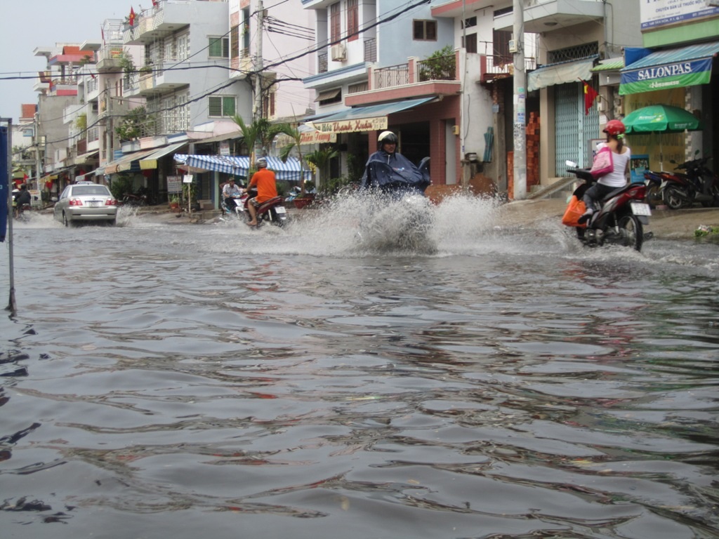 <b style=mso-bidi-font-weight:
  normal>