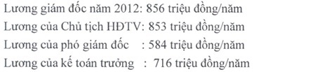 GĐ Công ty thoát nước, chiếu sáng đô thị lương tháng trên dưới 200 triệu đồng - 3 Công ty TNHH một thành viên